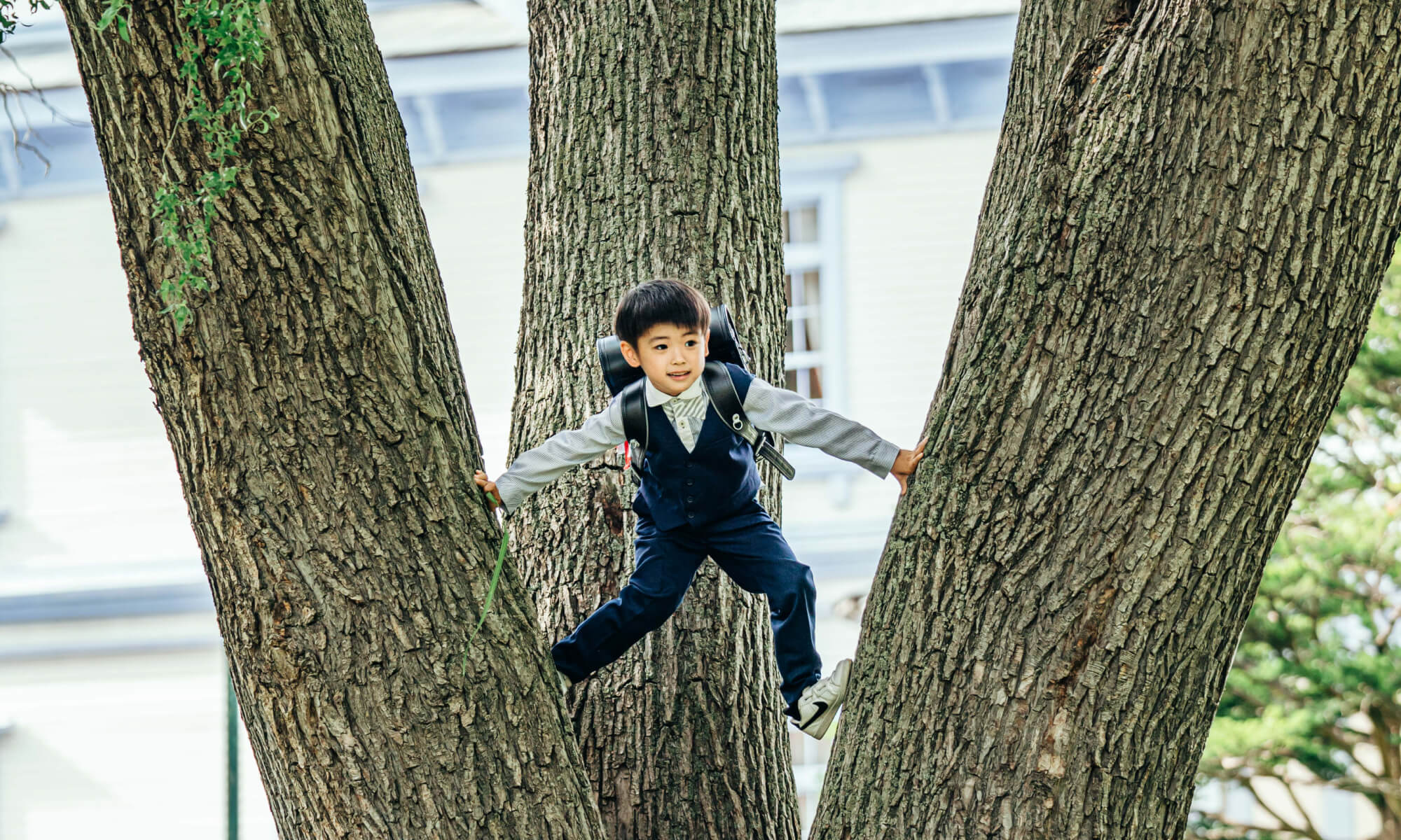 男の子の写真